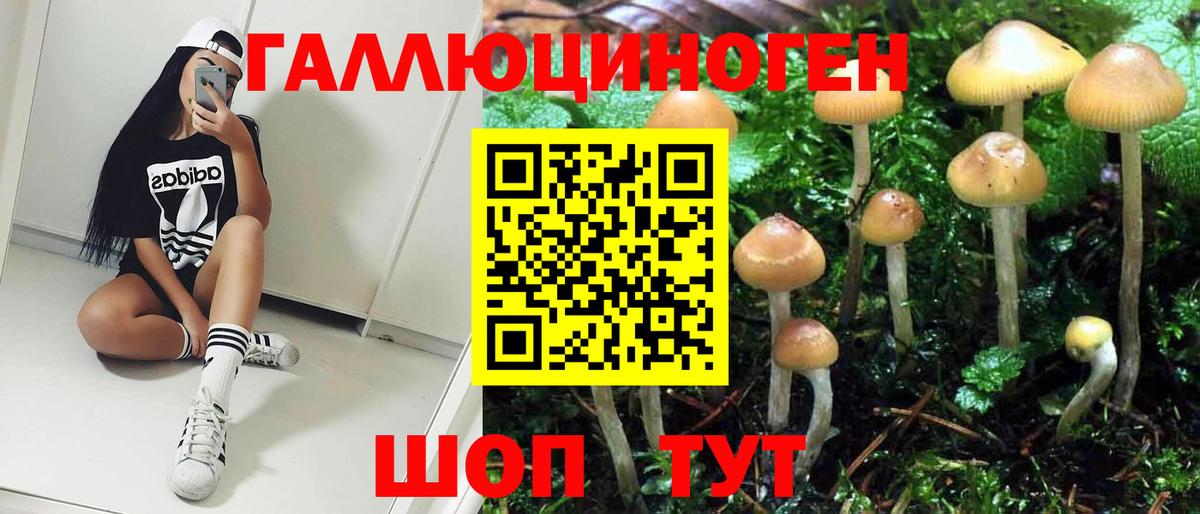 Якутск  Галлюциногенные грибы Cubensis  Вход с VPN 